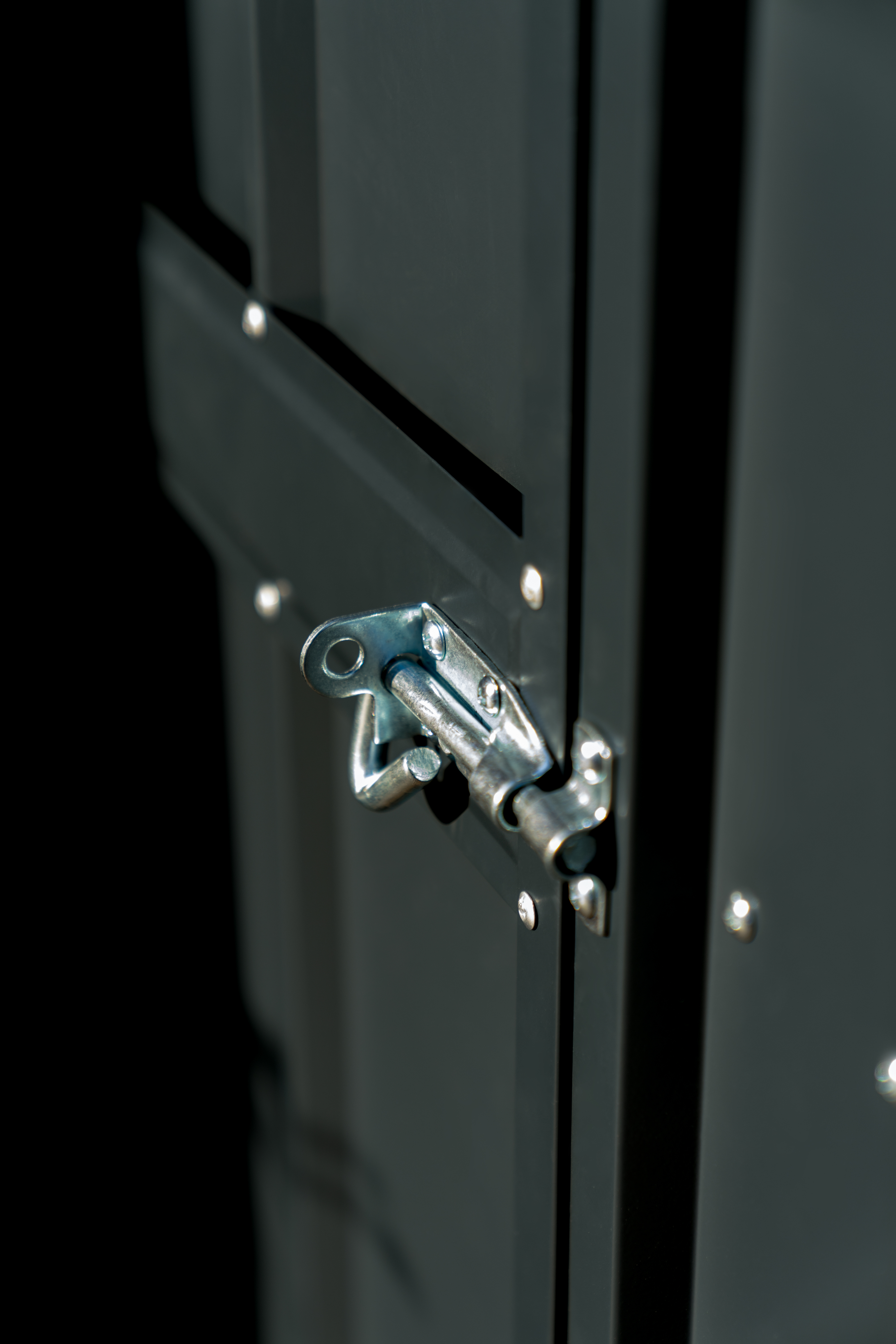 Gerätehaus Wand-Zierde „LeanTo“ 56 H178, anthrazit