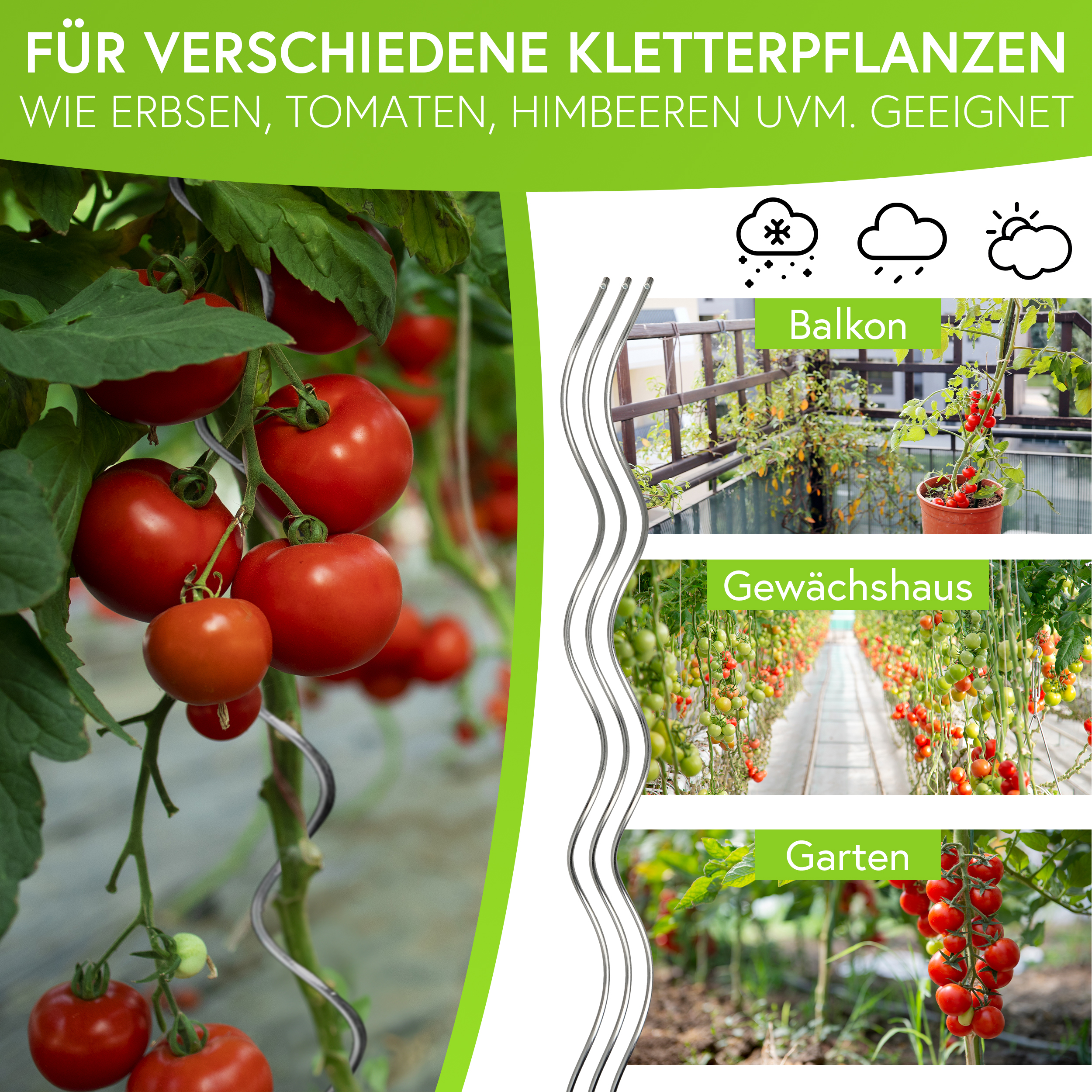 7RWSZMi8ZSPlpt Tomatenspiralen aus Stahl Ø 5,6 mm Tomatenspiralstäbe Ranke Pflanzstab
