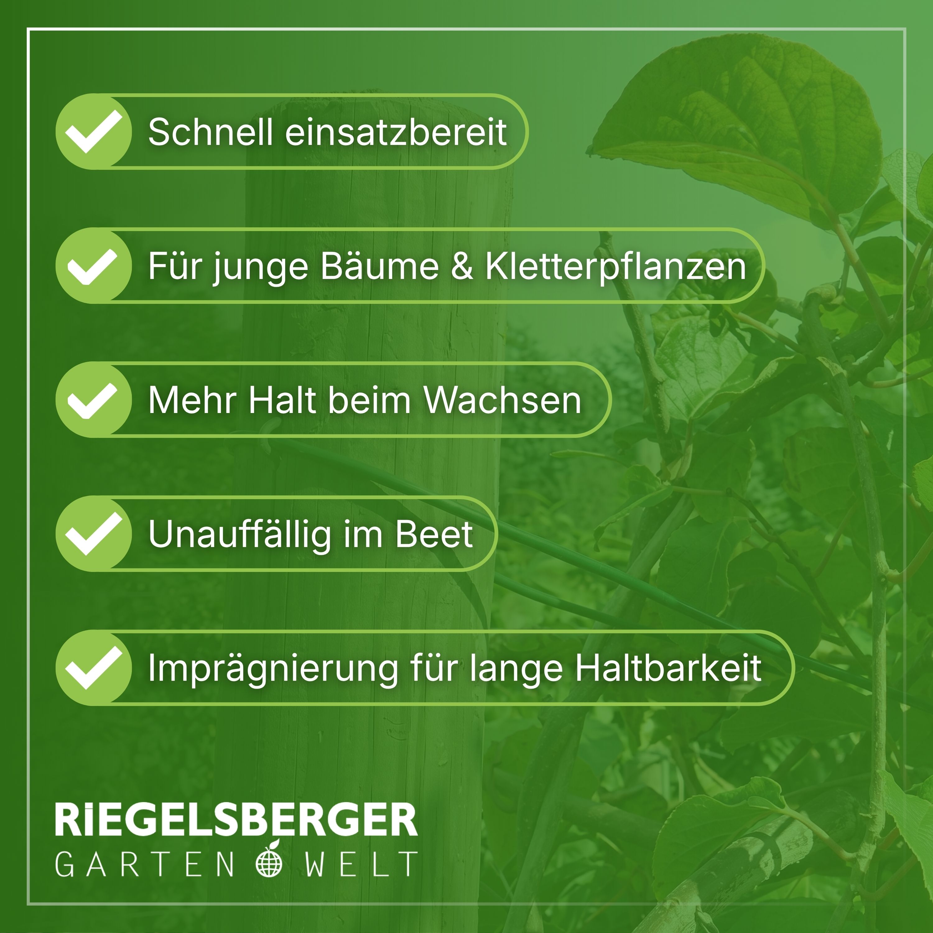 Pfahl Ø 4,6 cm Höhe 150 cm Holzpfahl Kiefer imprägniert Pflanzstab Gartenpfahl Rankhilfe Baumpfahl