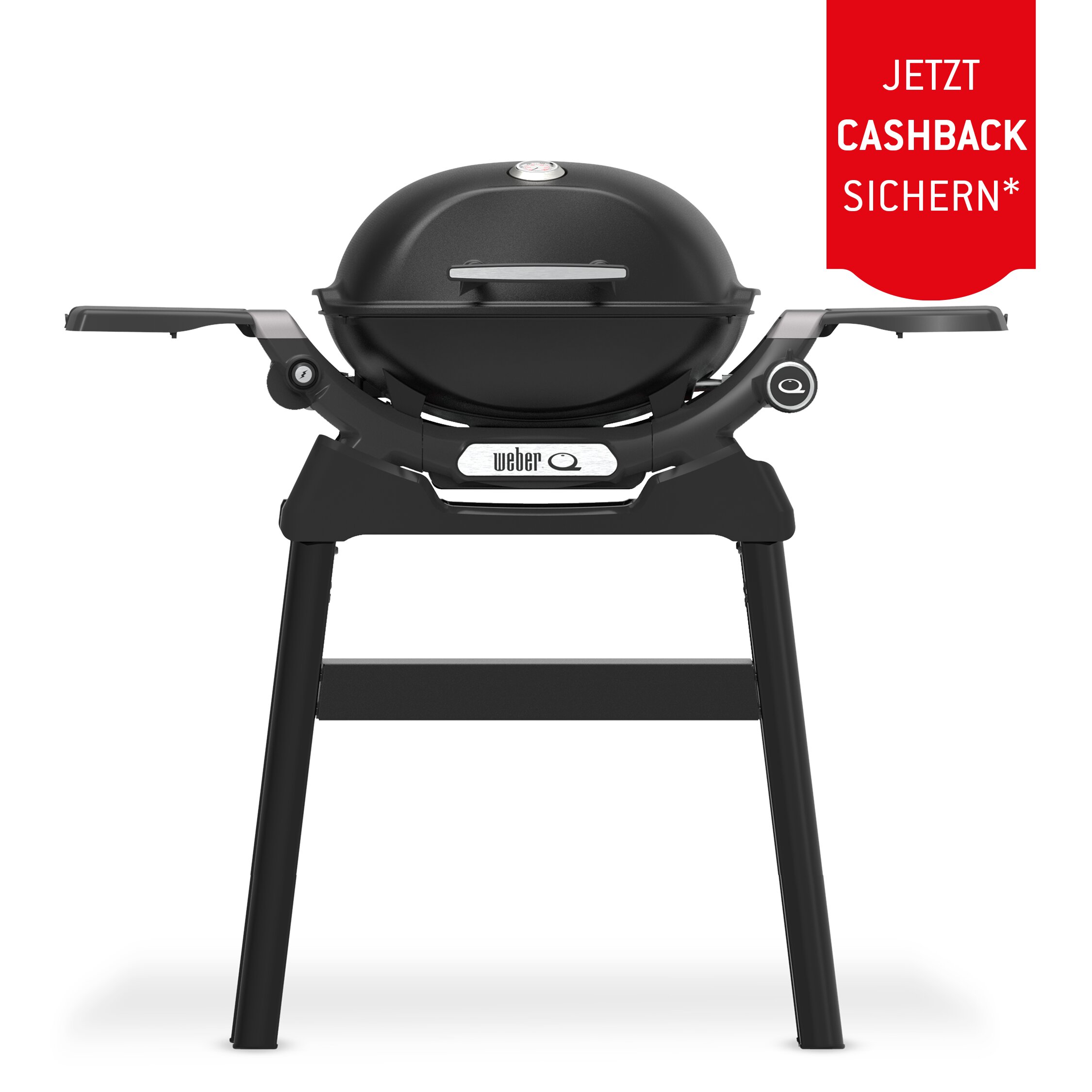 Weber Q 1200N Gasgrill mit Stand Black