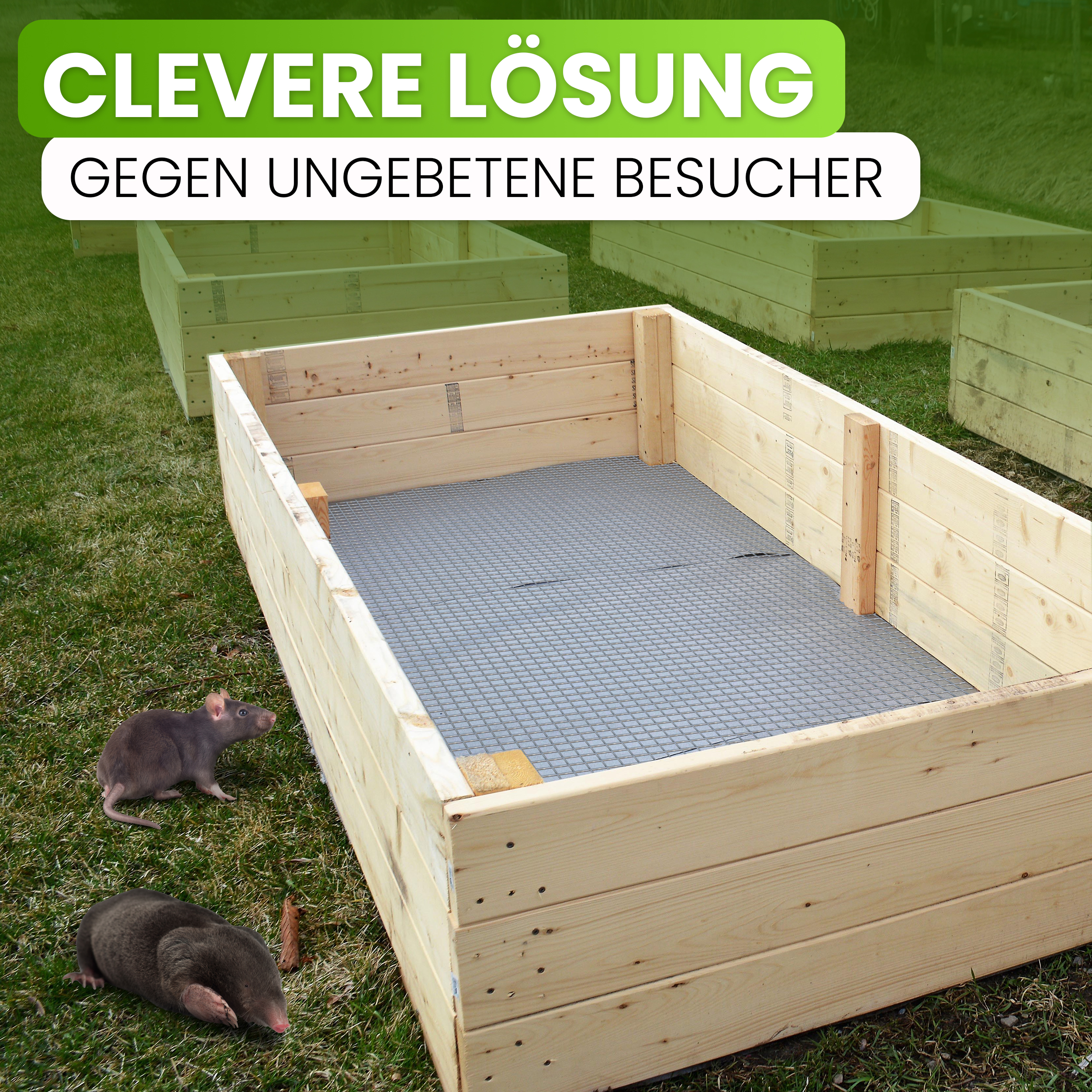Mausgitter Wühlmausgitter für Hochbeet von Gartenwelt Riegelsberger