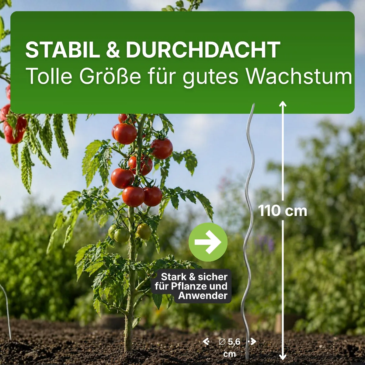Tomatenspiralen aus Stahl Ø 5,6 mm Tomatenspiralstäbe Ranke Pflanzstab