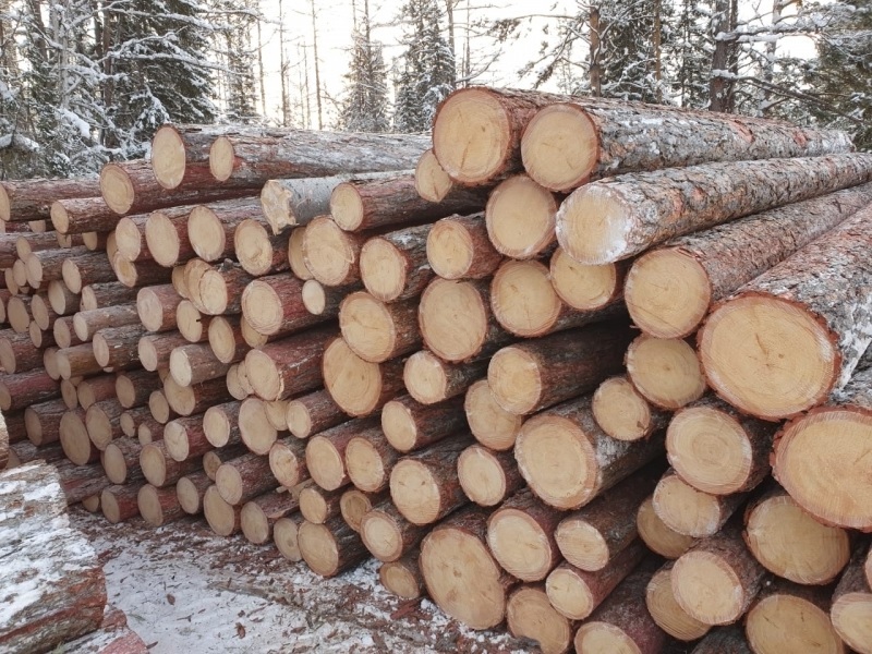 A-joda_konstruktionsholz_schnittholz_laerche_detail_unbehandelt_kunde_2eB1rALbTUtVOv Profilbretter 19,5x96 mm Lärche natur Duoprofil N+F Kombiprofil Länge