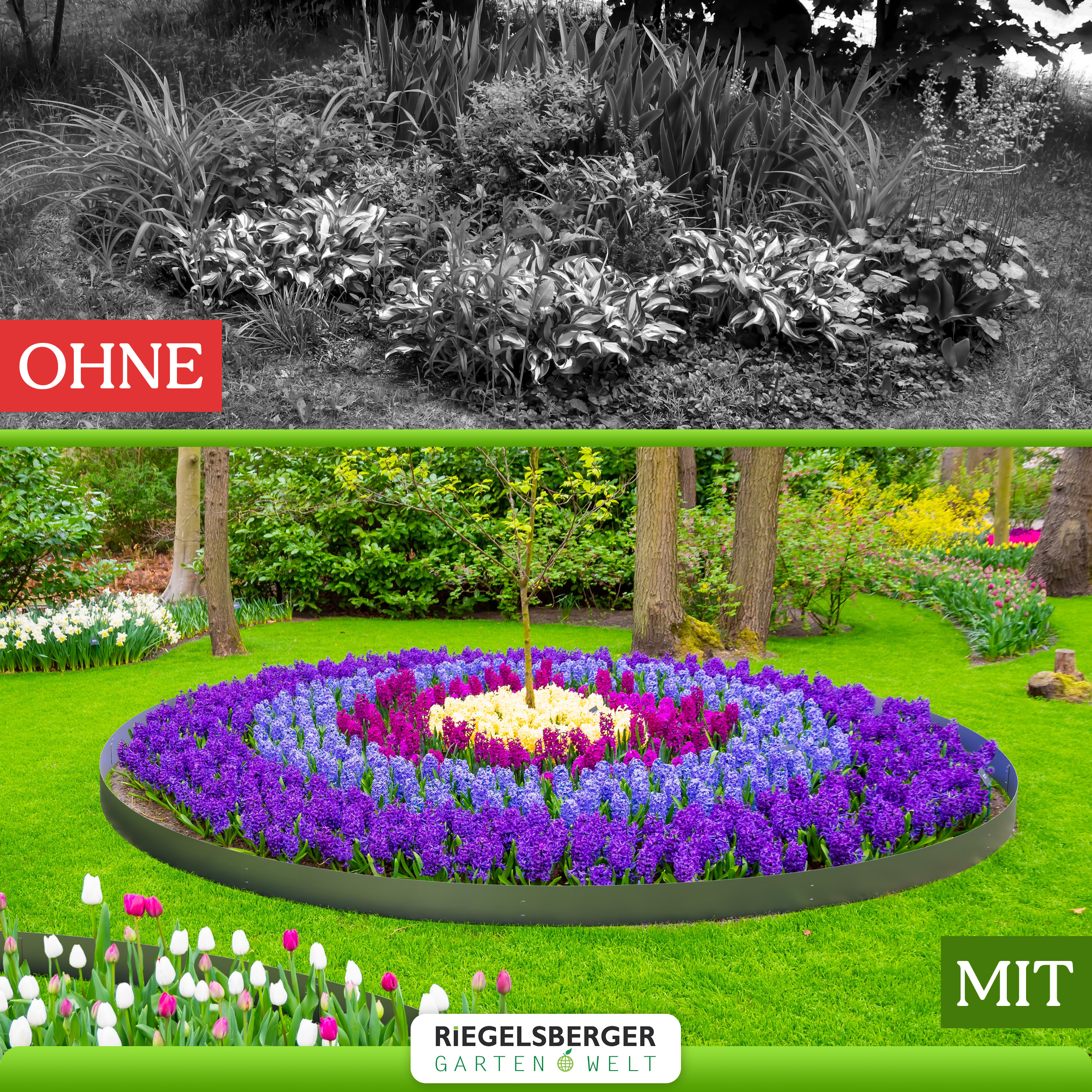 5Ih0EY9I11rBl9 Rasenkante Beetumrandung Beeteinfassung Rasenbleche Metall
