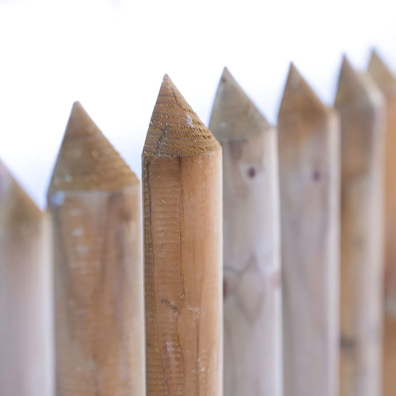 Zaunlatte Kiefer imprägniert Typ C 27x60 mm 60 cm