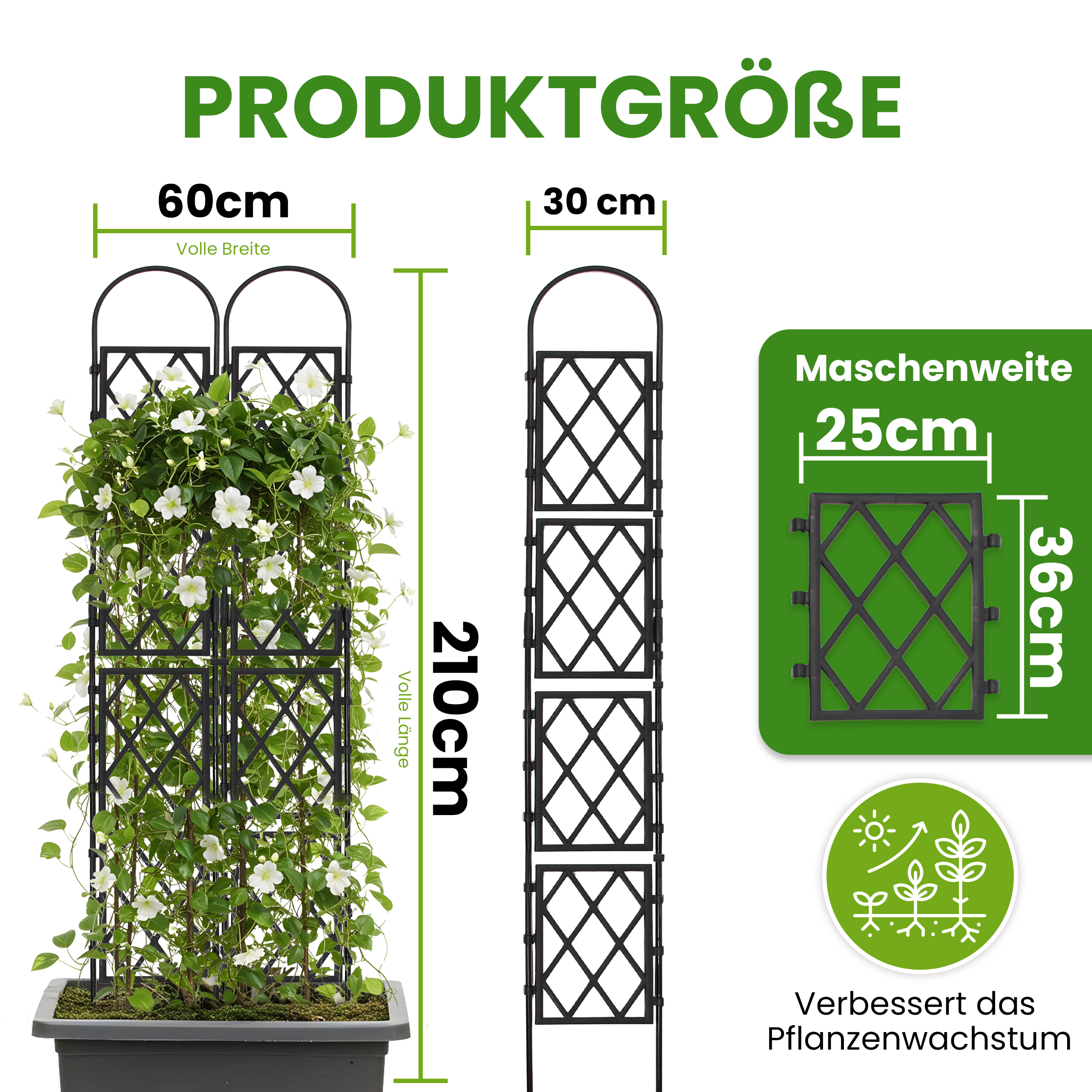 Wandspalier mit Bogen Rankgitter Pflanzenstütze Gitterspalier für Garten