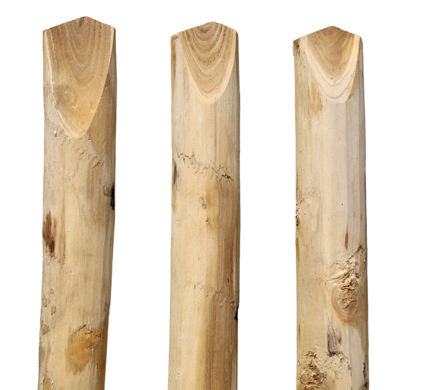 Foto-1jUhncudaCgmhE Zaunlatte Typ C 27x60 mm Kastanienholz französische Kastanie