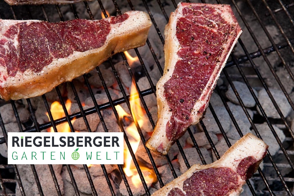 die-kohle-manifaktur-01-1028x686Kxw2d60SLBK6A Dauerbrenner Premium Grillbriketts High Energy bis zu 4 Std. Brenndauer Long Lasting Briketts