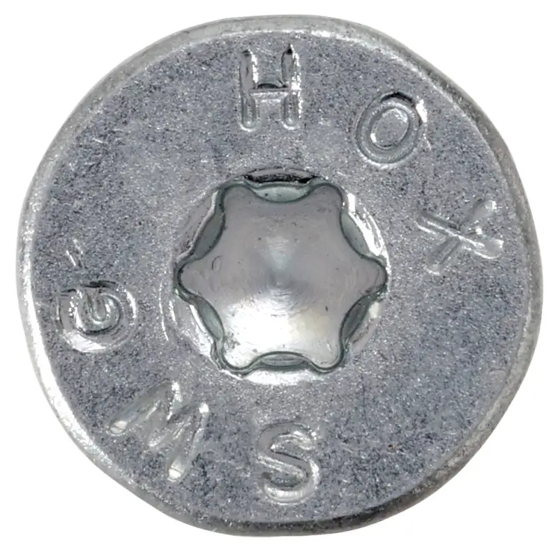 HOX Innenvielzahnschrauben m. Bit 5x100 (Stahl verzinkt (100 Stück) - 175 15 100)