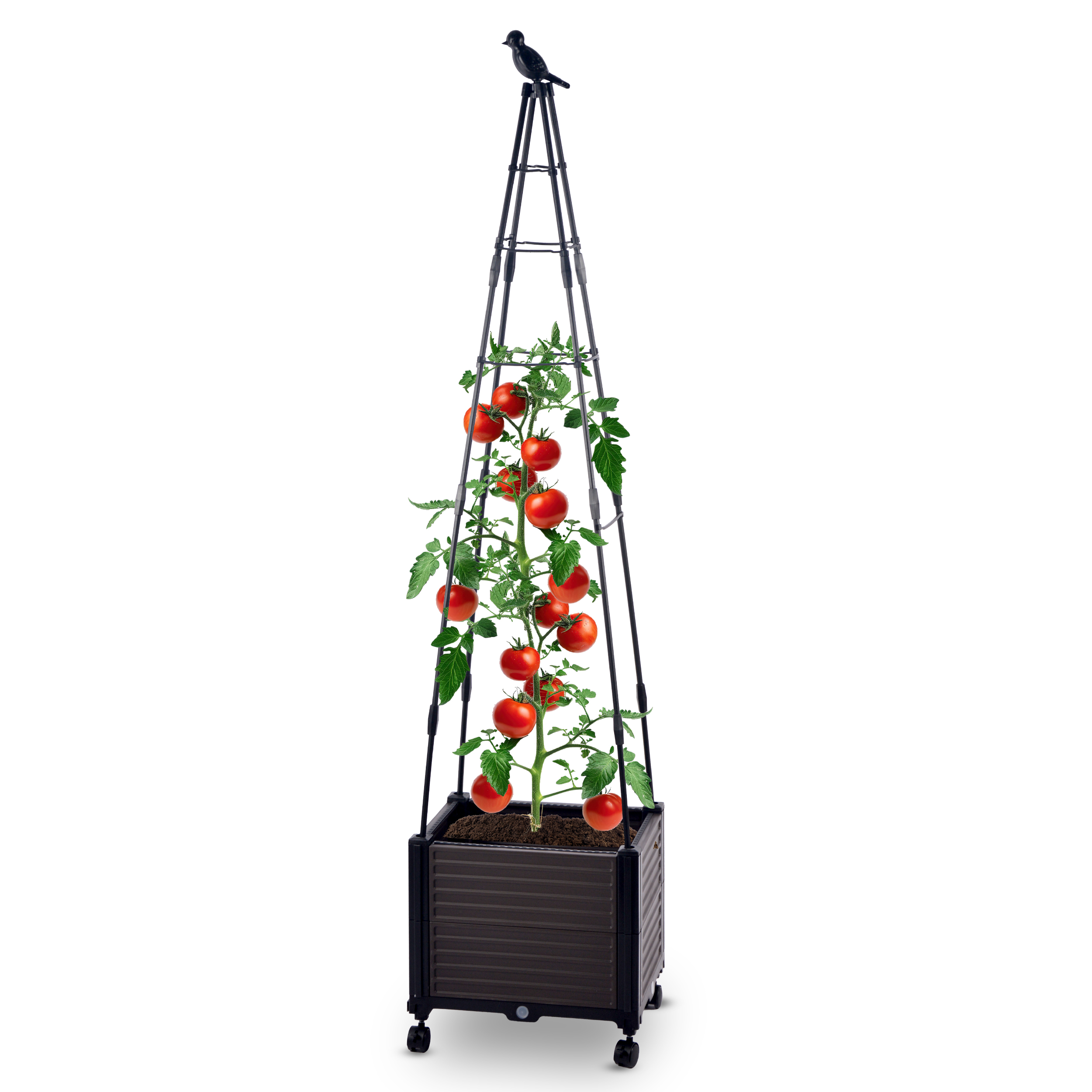 01V29yYS4rryhKpbo Blumenkasten Set mit Rankhilfe gespitzt 41x30xH160 cm Pflanzkasten auf Rädern