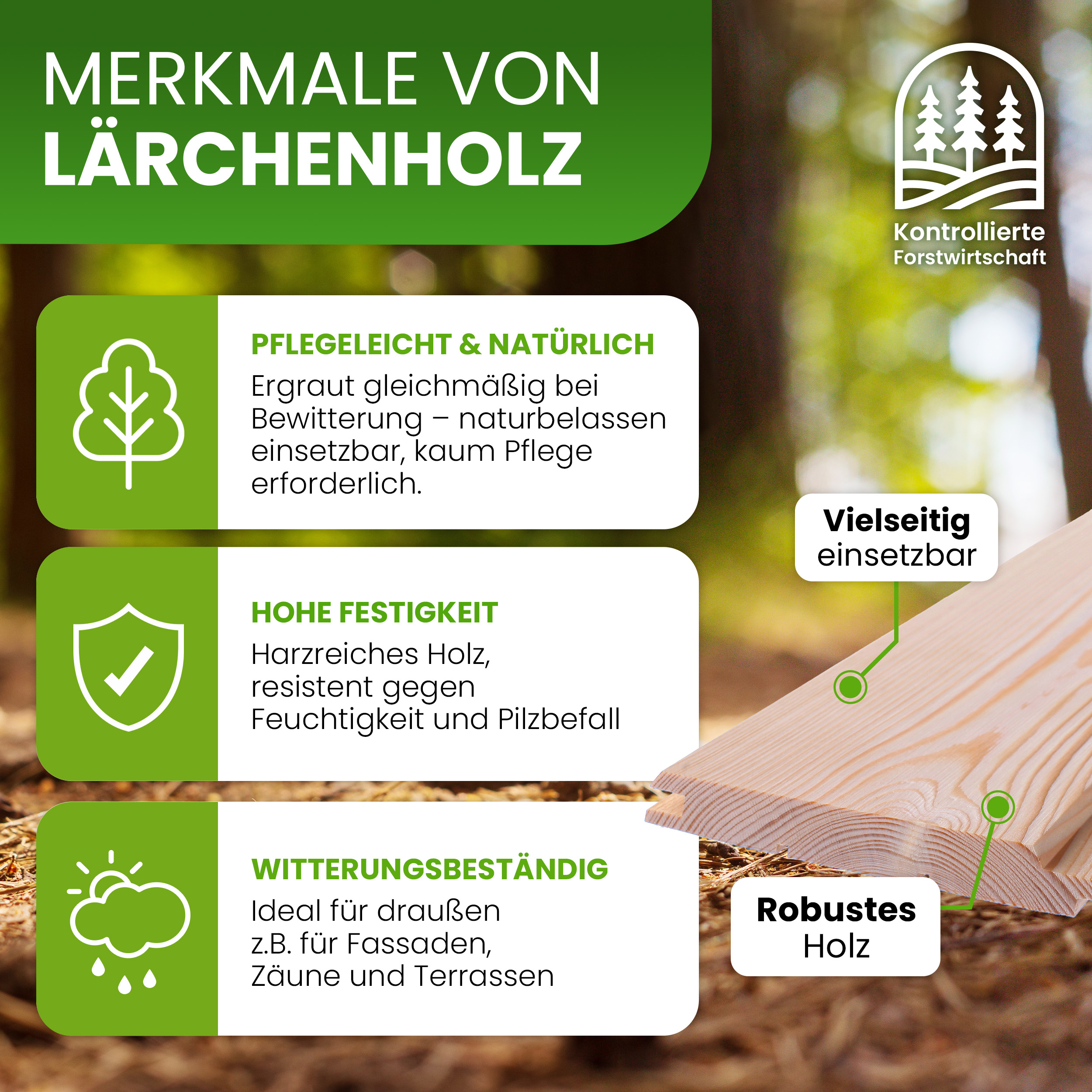 Fassadenprofil 24x146 mm Lärche natur Fasebretter Nut und Feder Fassadenprofil 24x146 mm Lärche natur Fasebretter Nut und Feder