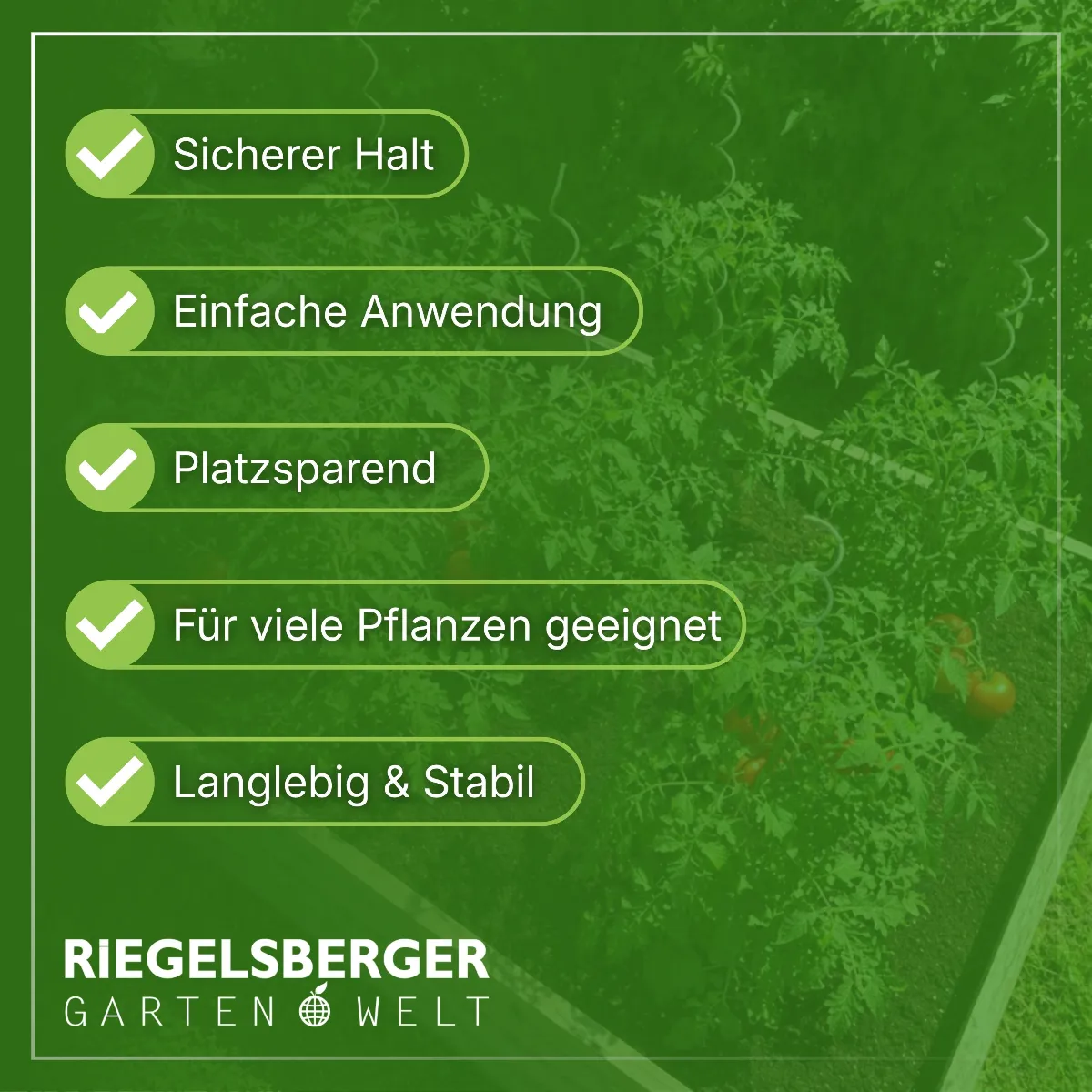 Tomatenspiralen aus Stahl Ø 5,6 mm Tomatenspiralstäbe Ranke Pflanzstab