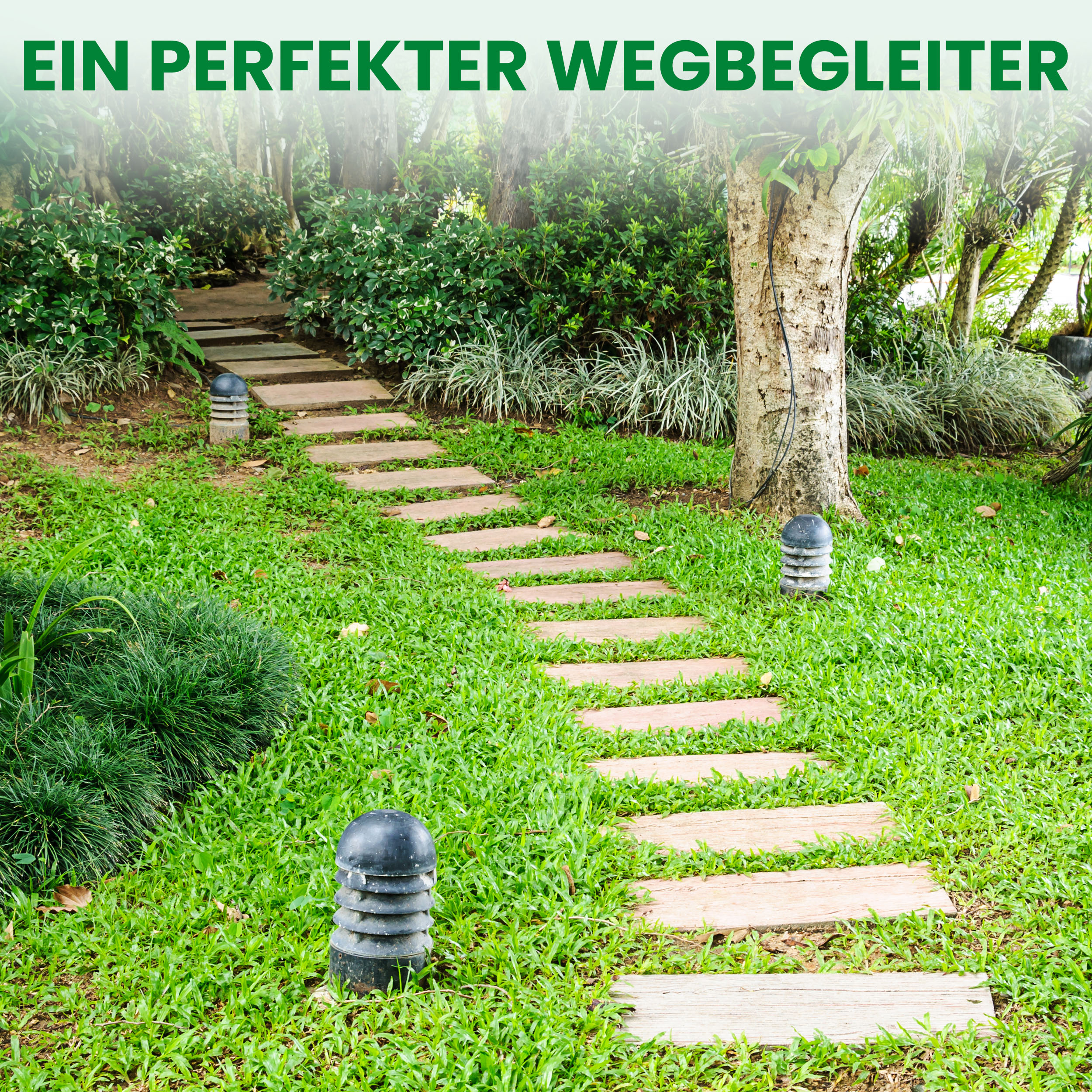 111Tefp3i5wUpcAX Rollweg Lärche Länge 250 cm für den Weg im Garten
