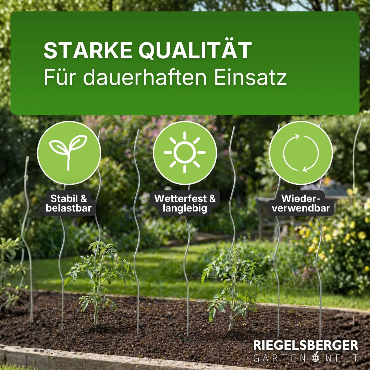 Tomatenspiralen aus Stahl Ø 5,6 mm Tomatenspiralstäbe Ranke Pflanzstab
