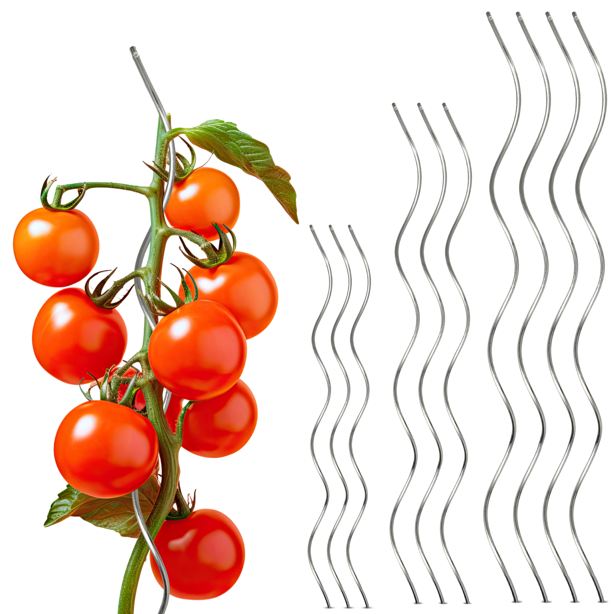 Haupftoto_alles Tomatenstäbe halterung bis zu 180 cm Höhe aus Stahl