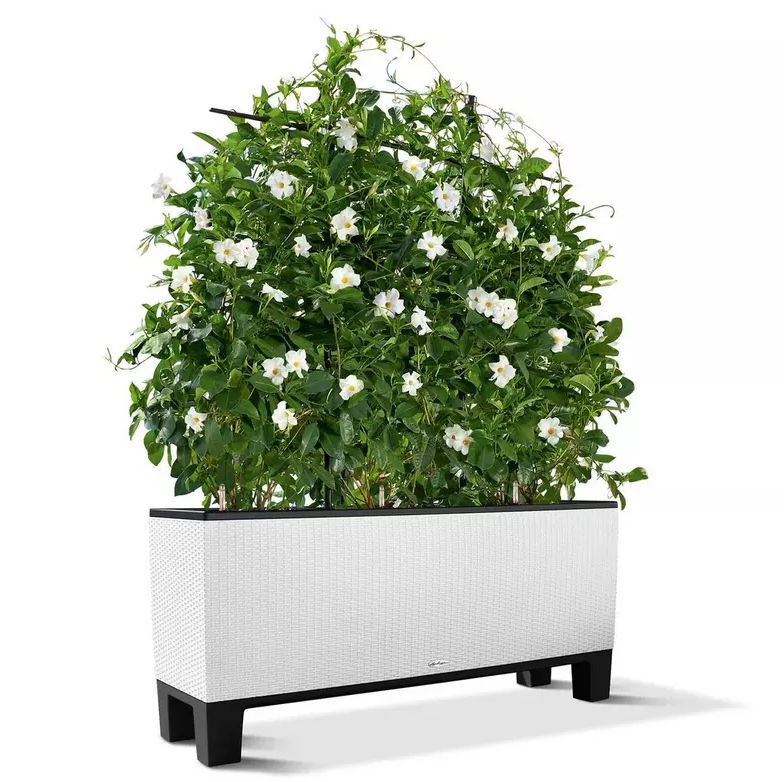Lechuza Sockel 98x30x15 cm für TRIO 30