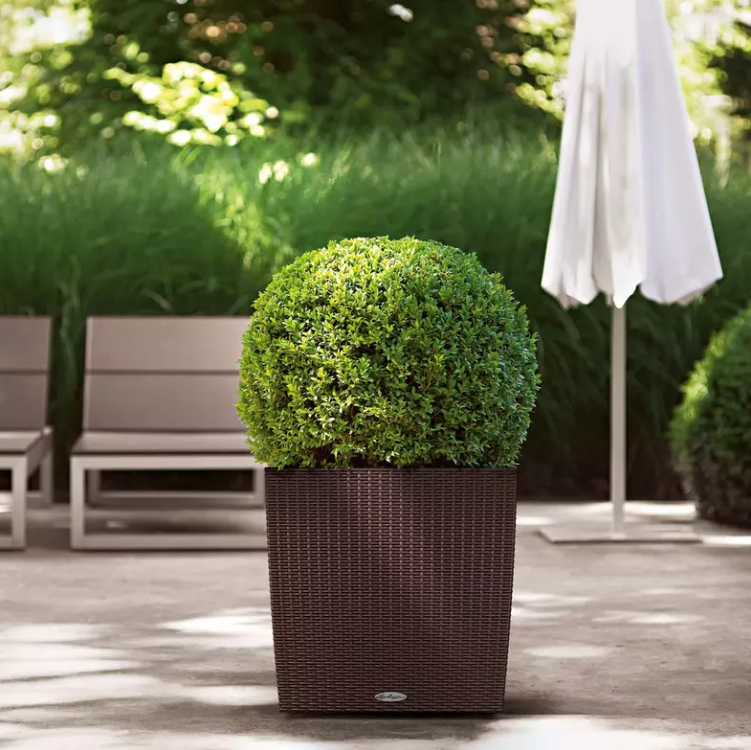 CUBE-Cottage-40-mokka-2 Lechuza CUBE Cottage 50 mokka Komplettset