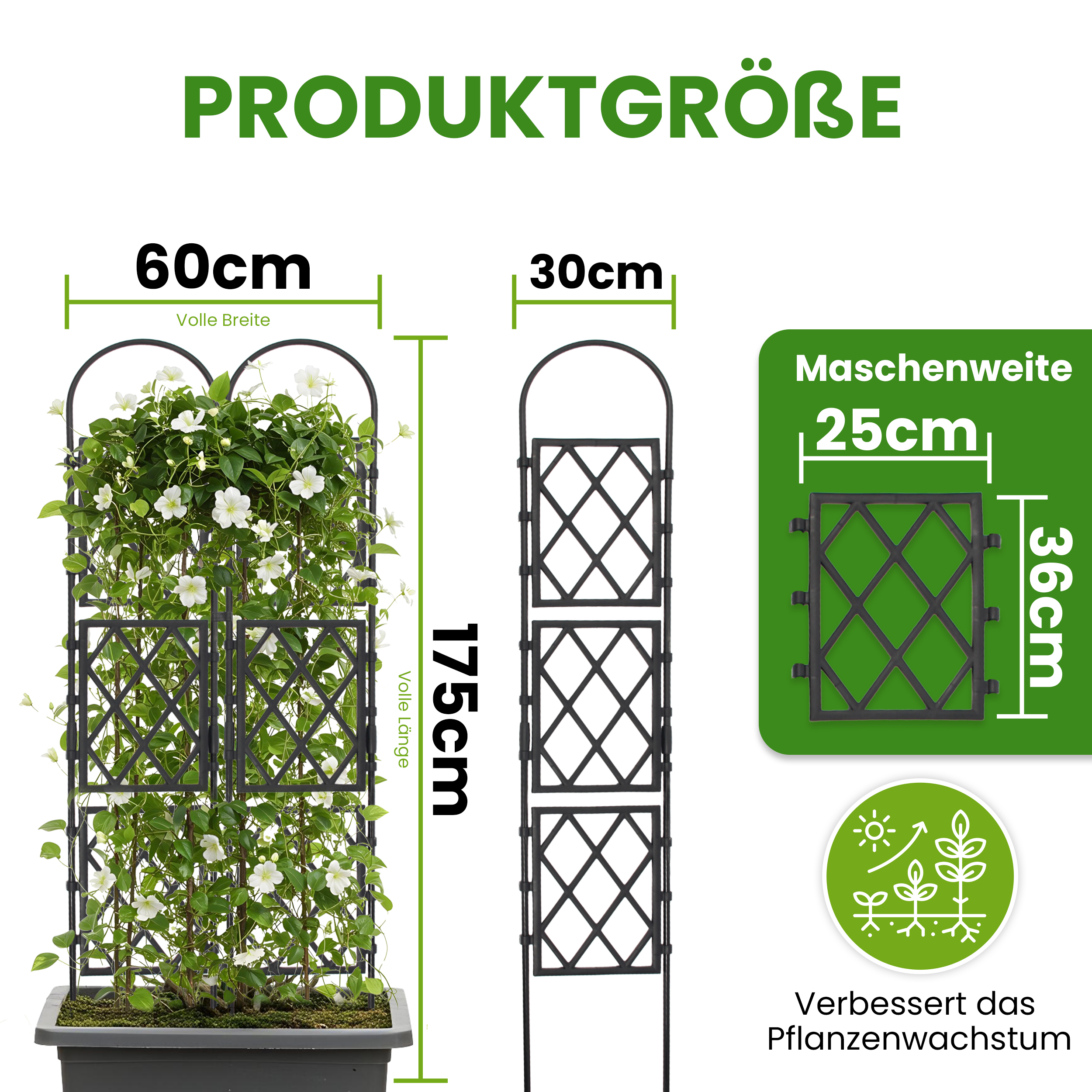 Wandspalier mit Bogen Rankgitter Pflanzenstütze Gitterspalier für Garten