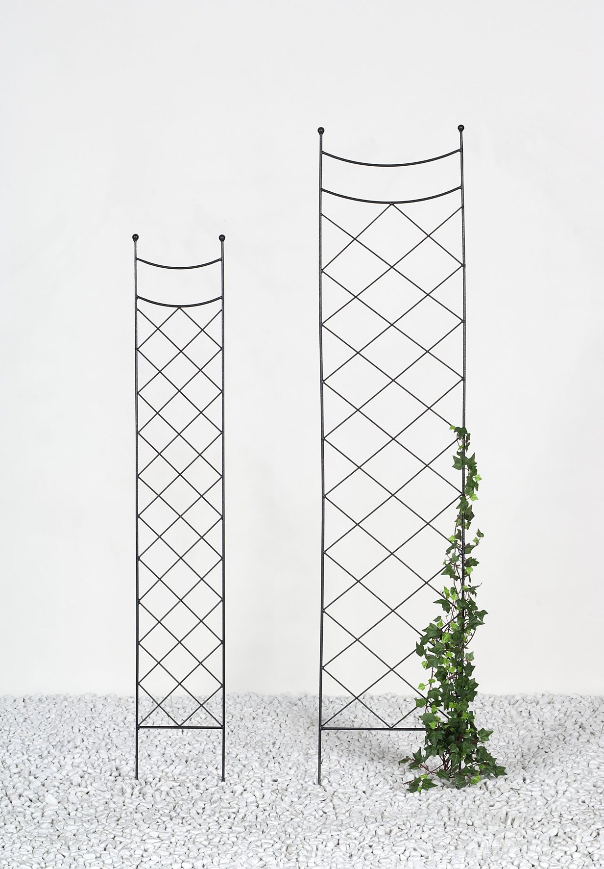 Zierspalier Emma B 34 x H 180 cm schwarz (13157) von Gartenwelt Riegelsberger