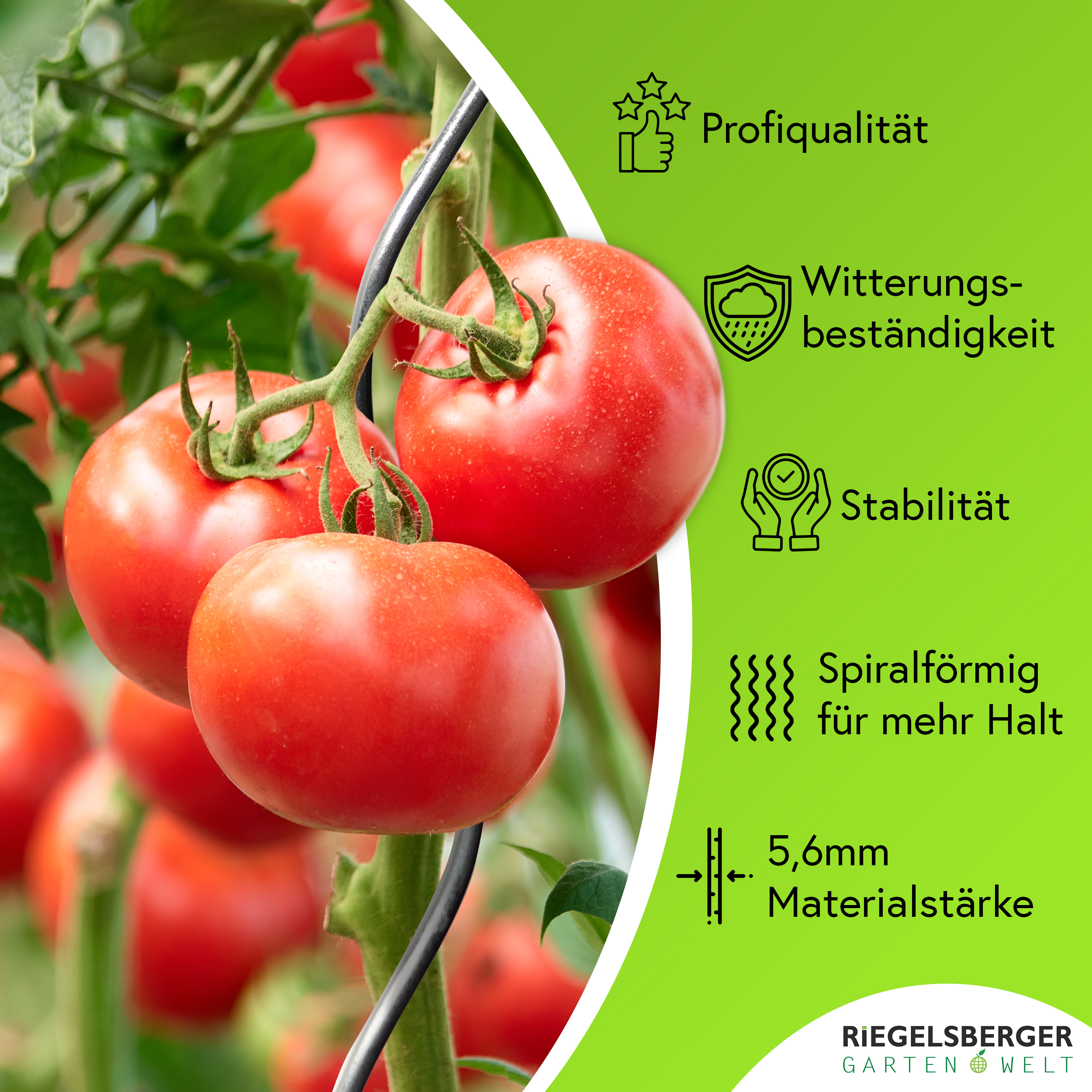 5nqlxgJcD3L4f6 Tomatenspiralen aus Stahl Ø 5,6 mm Tomatenspiralstäbe Ranke Pflanzstab
