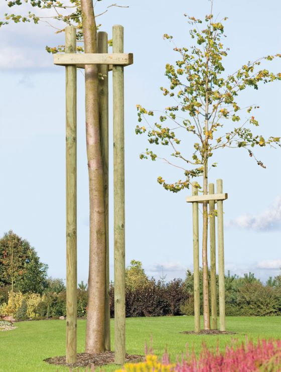 Unbenannt7IUMS7YwyVq3v Pfahl Ø 4,6 cm Höhe 150 cm Holzpfahl Kiefer imprägniert Pflanzstab Gartenpfahl Rankhilfe Baumpfahl
