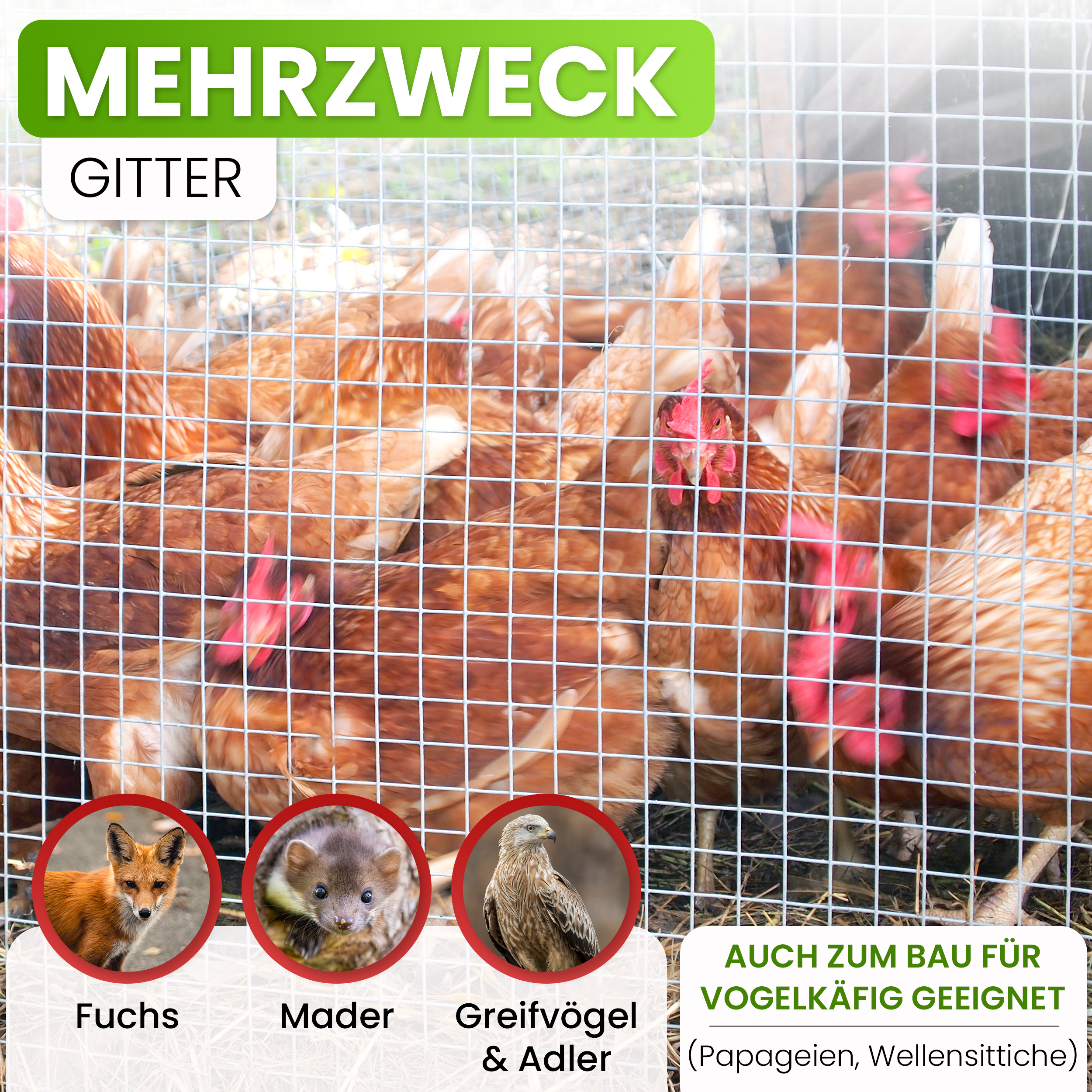 Mausgitter Wühlmausgitter für Hochbeet von Gartenwelt Riegelsberger