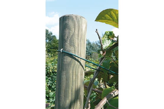 zaunpfahl_kiefer_kdi_joda_artikelbildrPEmUMf3uH8jq Pfahl Ø 6 cm Höhe 175 cm Holzpfahl Kiefer imprägniert Pflanzstab Gartenpfahl Rankhilfe Baumpfahl