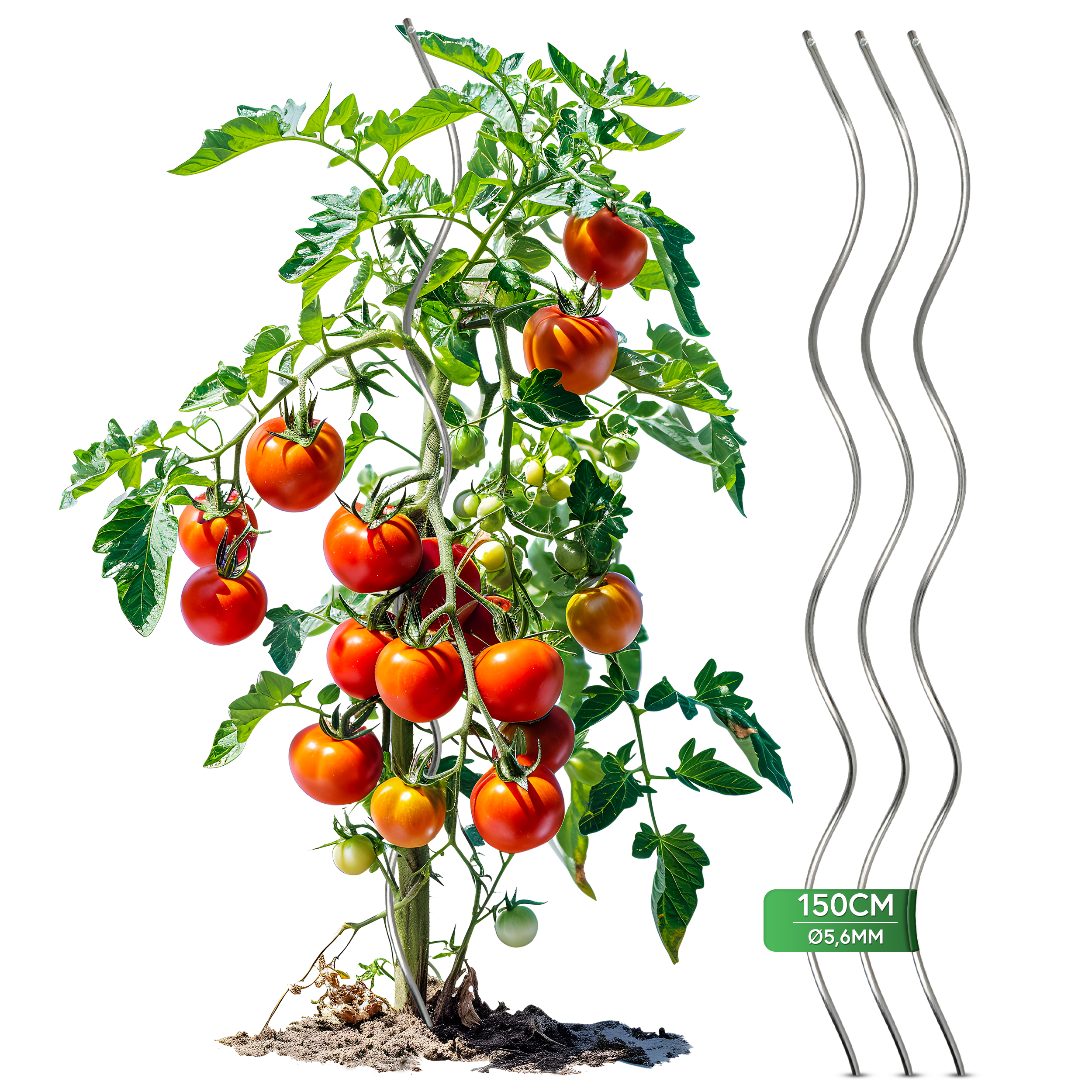 1-2-150cm Rankenstüze Rankenhilfe für Tomaten Pflanzen 150cm