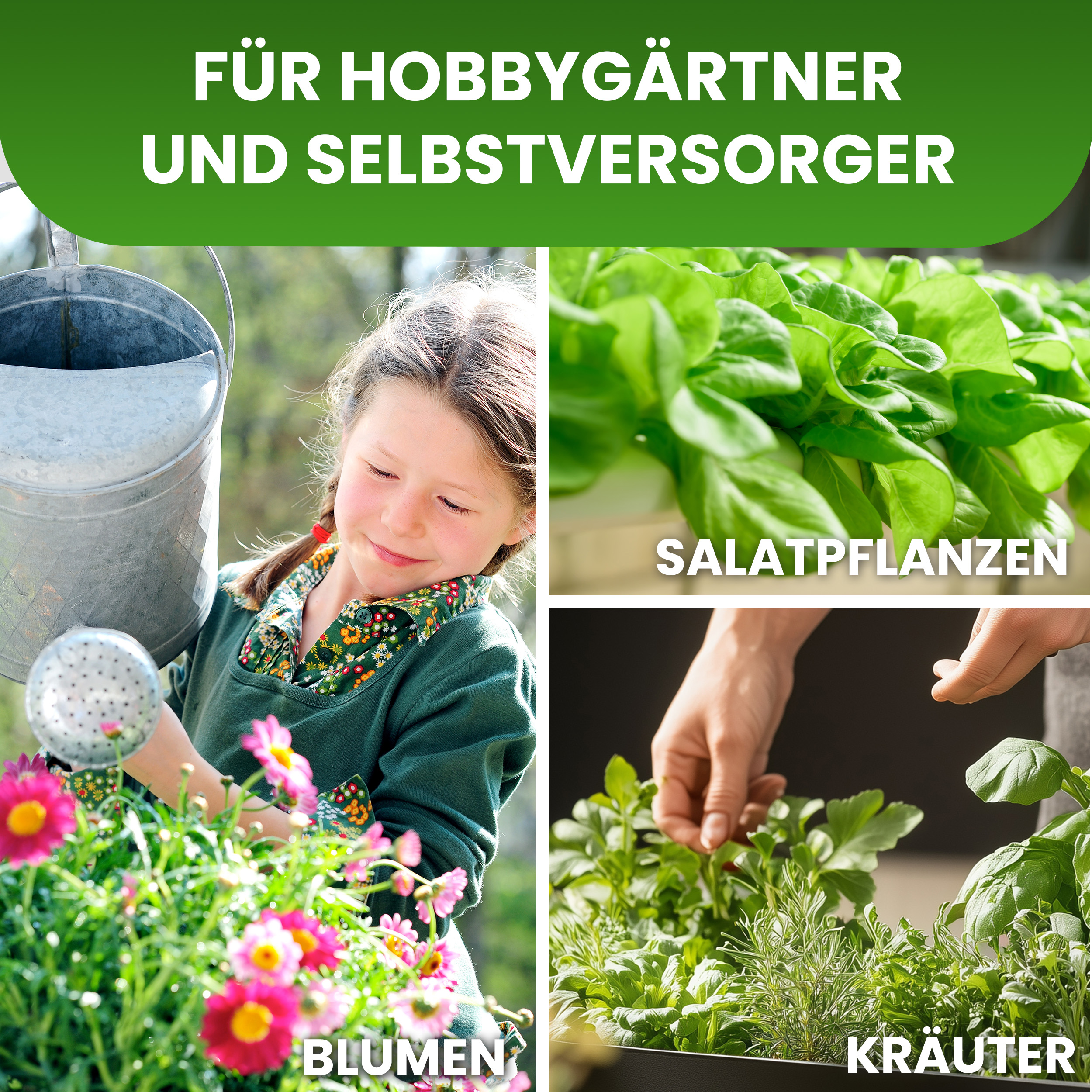 6wBTVq0CUCnQ1t Hochbeet mit Frühbeet 2 Ebenen 82x41xH135 cm Foliengewächshaus auf Rädern