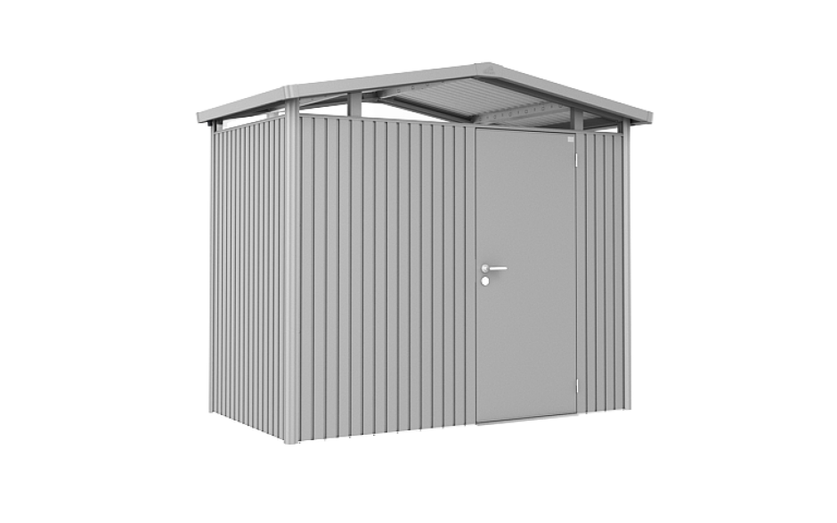 P1 silber-metallic Standard