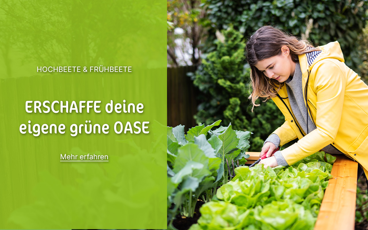 Junge Frau erntet Gemüse am Hochbeet mit Text "Erschaffe deine grüne Oase"