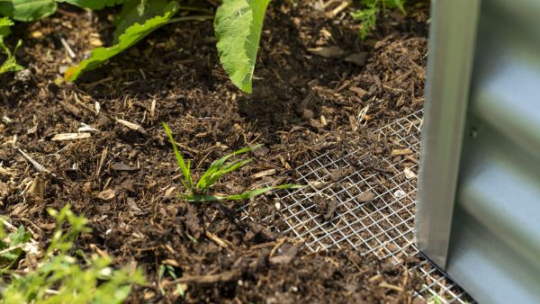 Mäusegitter Draneo für Hoch- und Innenbeete