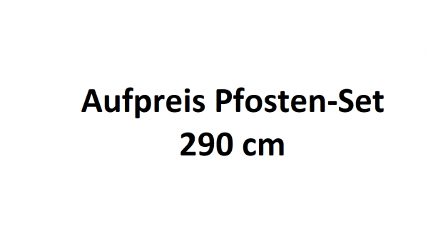 Aufpreis Pfosten-Set 290cm für Einzelcarport XL Basic B380 x T900 cm