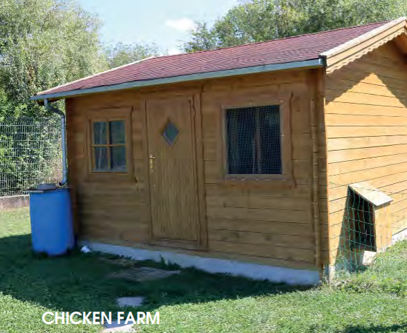 Premium Gartenhaus Chicken Farm