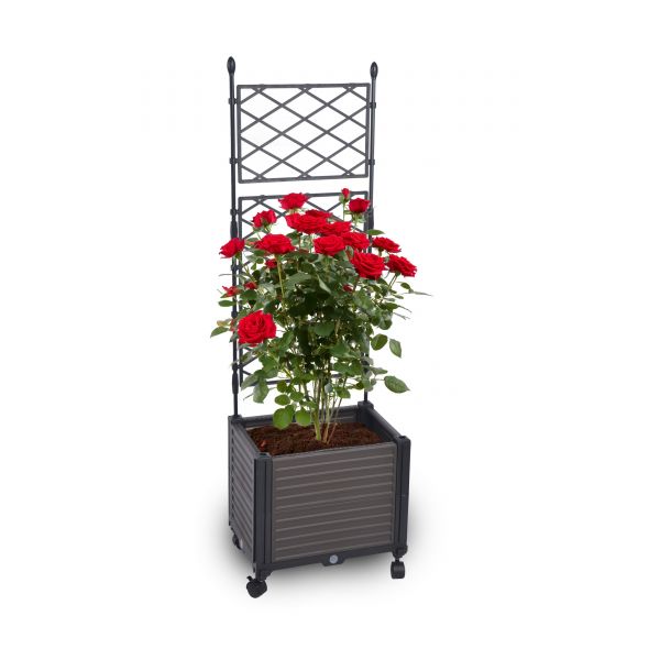 Blumenkasten Set mit Spalier 41x30xH125 cm Pflanzkasten auf Rädern Rankgitter für Garten Terrasse